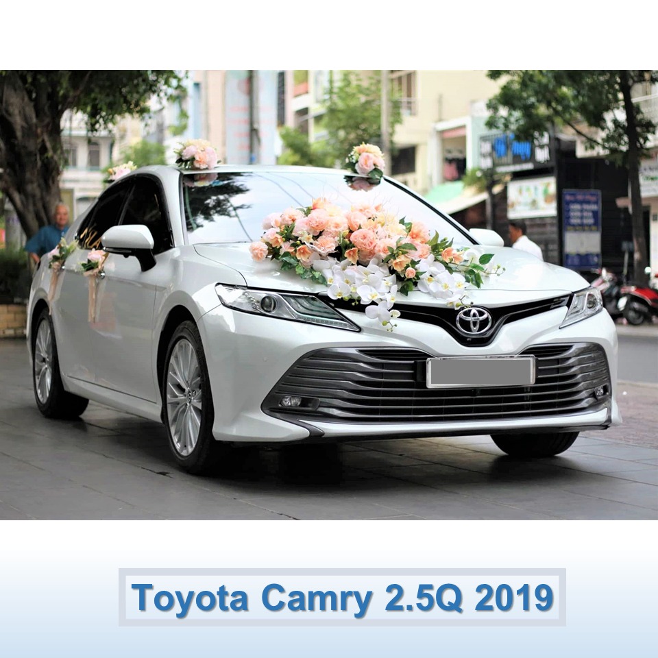 Cho Thuê Xe hoa Toyota Camry 2019